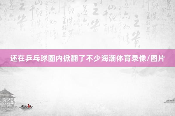 还在乒乓球圈内掀翻了不少海潮体育录像/图片