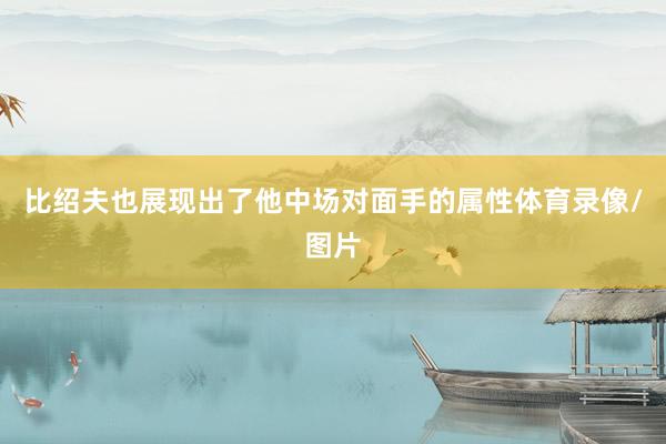 比绍夫也展现出了他中场对面手的属性体育录像/图片