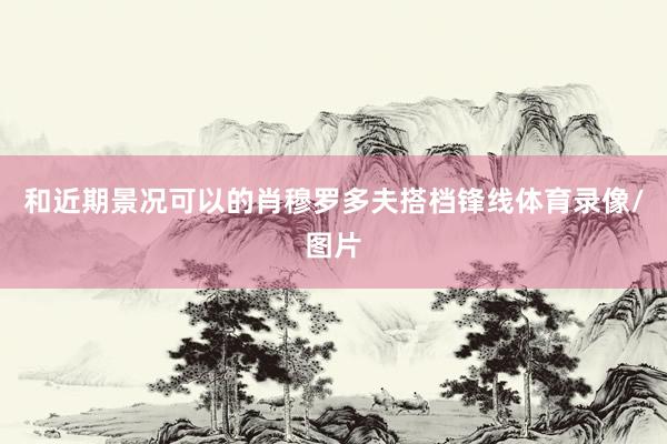 和近期景况可以的肖穆罗多夫搭档锋线体育录像/图片