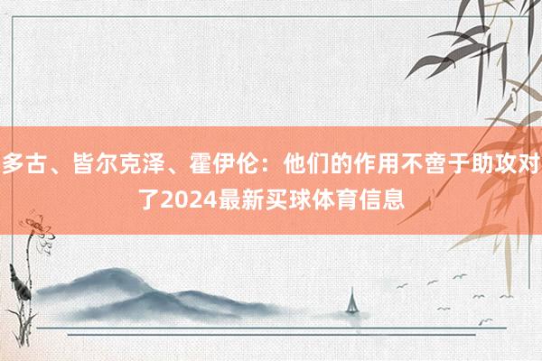 多古、皆尔克泽、霍伊伦：他们的作用不啻于助攻对了2024最新买球体育信息