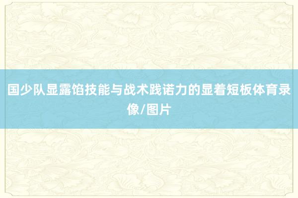 国少队显露馅技能与战术践诺力的显着短板体育录像/图片