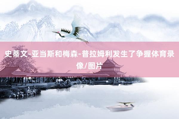 史蒂文-亚当斯和梅森-普拉姆利发生了争握体育录像/图片