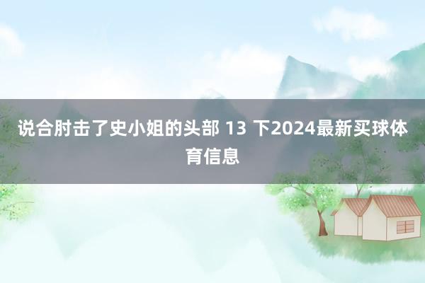 说合肘击了史小姐的头部 13 下2024最新买球体育信息