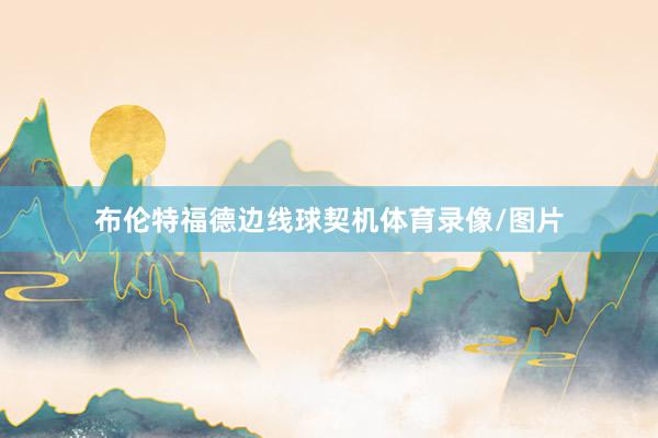 布伦特福德边线球契机体育录像/图片