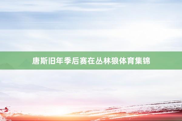 唐斯旧年季后赛在丛林狼体育集锦