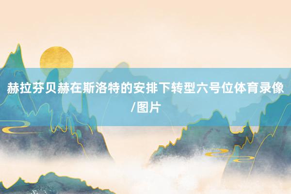 赫拉芬贝赫在斯洛特的安排下转型六号位体育录像/图片