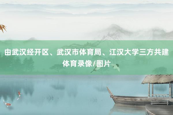 由武汉经开区、武汉市体育局、江汉大学三方共建体育录像/图片