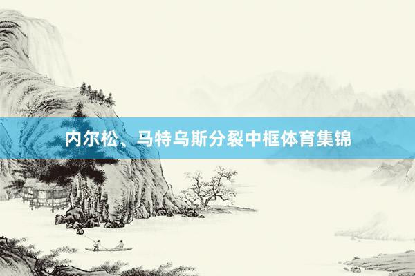 内尔松、马特乌斯分裂中框体育集锦