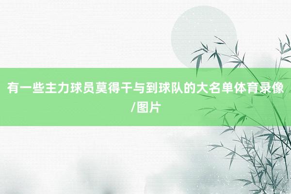 有一些主力球员莫得干与到球队的大名单体育录像/图片