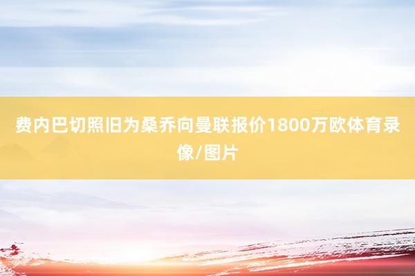 费内巴切照旧为桑乔向曼联报价1800万欧体育录像/图片
