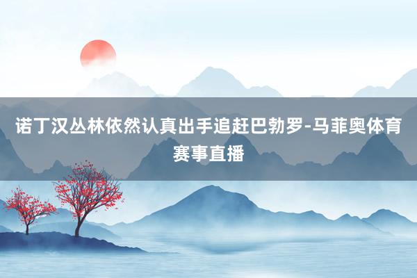 诺丁汉丛林依然认真出手追赶巴勃罗-马菲奥体育赛事直播