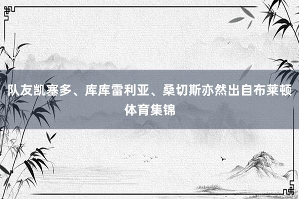 队友凯塞多、库库雷利亚、桑切斯亦然出自布莱顿体育集锦