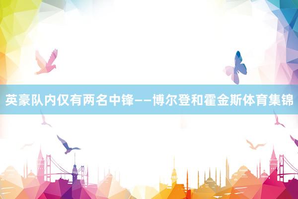 英豪队内仅有两名中锋——博尔登和霍金斯体育集锦