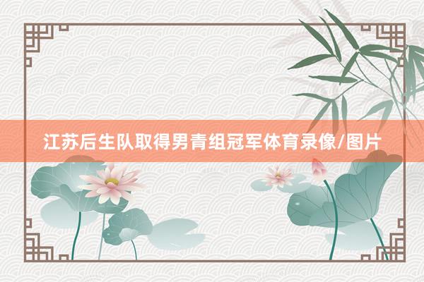 江苏后生队取得男青组冠军体育录像/图片