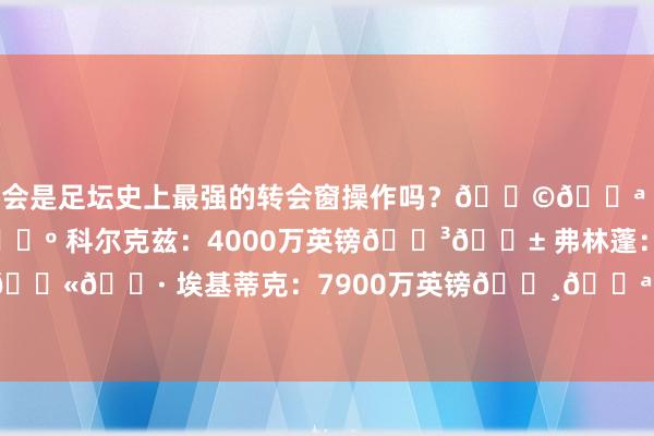 这会是足坛史上最强的转会窗操作吗？🇩🇪 维尔茨：1.16亿英镑🇭🇺 科尔克兹：4000万英镑🇳🇱 弗林蓬：3000万英镑🇫🇷 埃基蒂克：7900万英镑🇸🇪 伊萨克：1.3亿–1.5亿英镑 ​​​    体育录像/图片