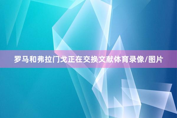 罗马和弗拉门戈正在交换文献体育录像/图片