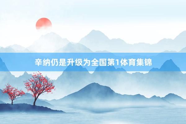 辛纳仍是升级为全国第1体育集锦