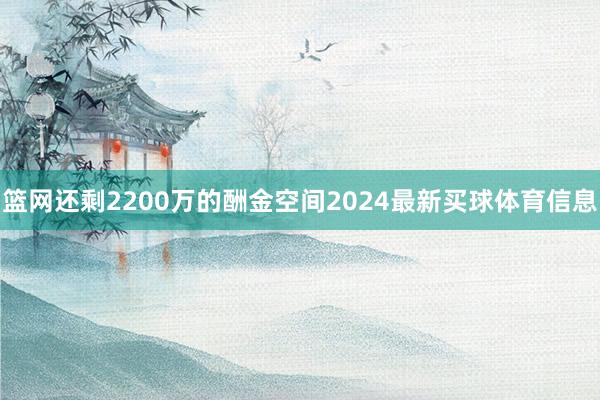 篮网还剩2200万的酬金空间2024最新买球体育信息