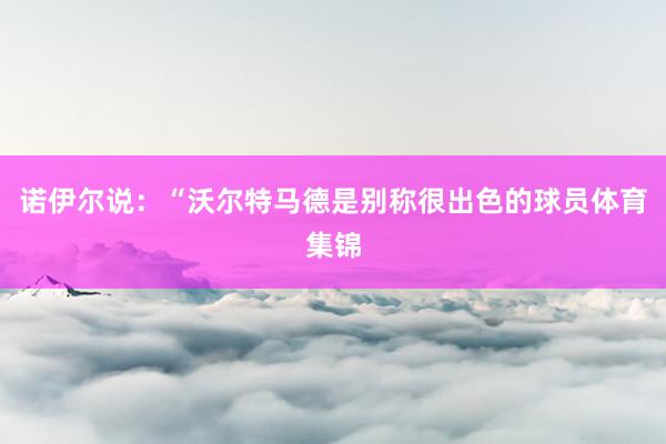 诺伊尔说：“沃尔特马德是别称很出色的球员体育集锦