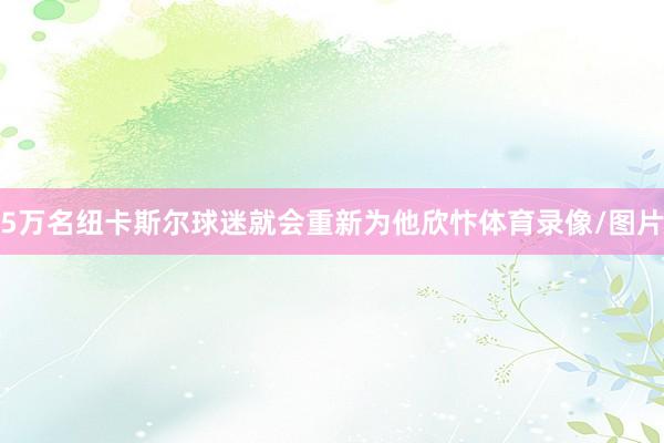 5万名纽卡斯尔球迷就会重新为他欣忭体育录像/图片