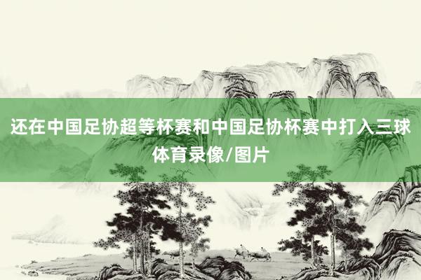 还在中国足协超等杯赛和中国足协杯赛中打入三球体育录像/图片