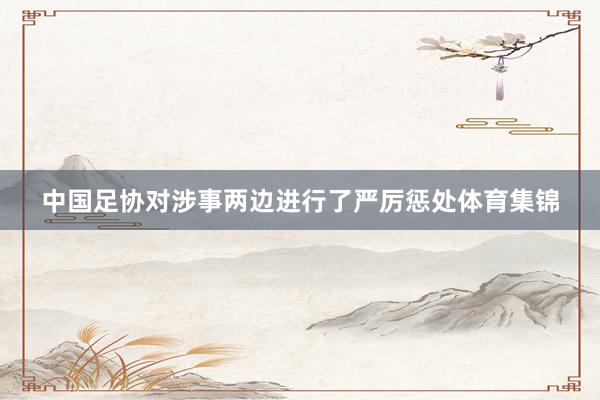 中国足协对涉事两边进行了严厉惩处体育集锦