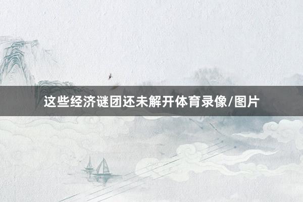 这些经济谜团还未解开体育录像/图片