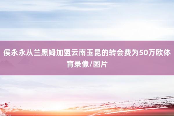 侯永永从兰黑姆加盟云南玉昆的转会费为50万欧体育录像/图片