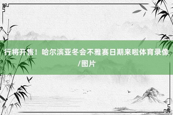 行将开售！哈尔滨亚冬会不雅赛日期来啦体育录像/图片
