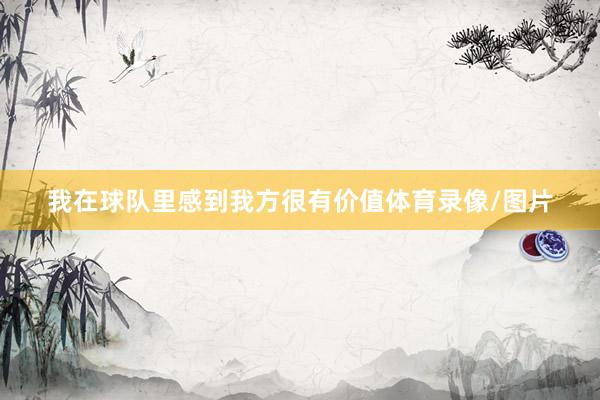 我在球队里感到我方很有价值体育录像/图片