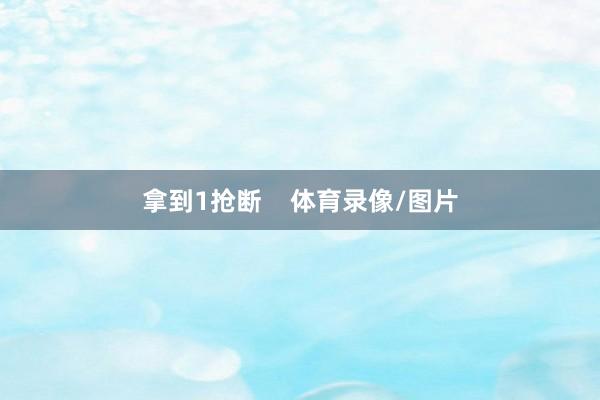 拿到1抢断    体育录像/图片