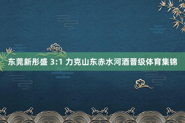 东莞新彤盛 3:1 力克山东赤水河酒晋级体育集锦