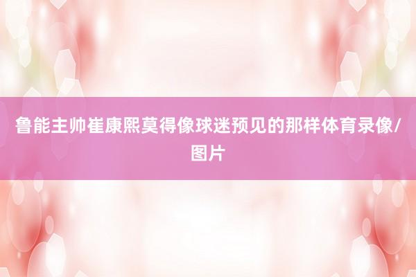 鲁能主帅崔康熙莫得像球迷预见的那样体育录像/图片