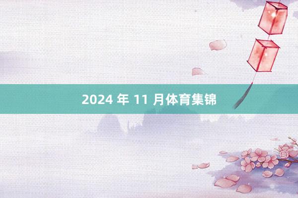2024 年 11 月体育集锦