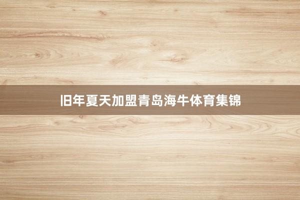 旧年夏天加盟青岛海牛体育集锦